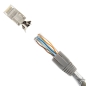 Preview: RJ45 Stecker grau