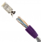 Preview: RJ45 Stecker lila