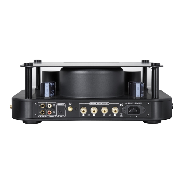 McGee Legend Amplifier Bluetooth + Wifi - Röhrenverstärker