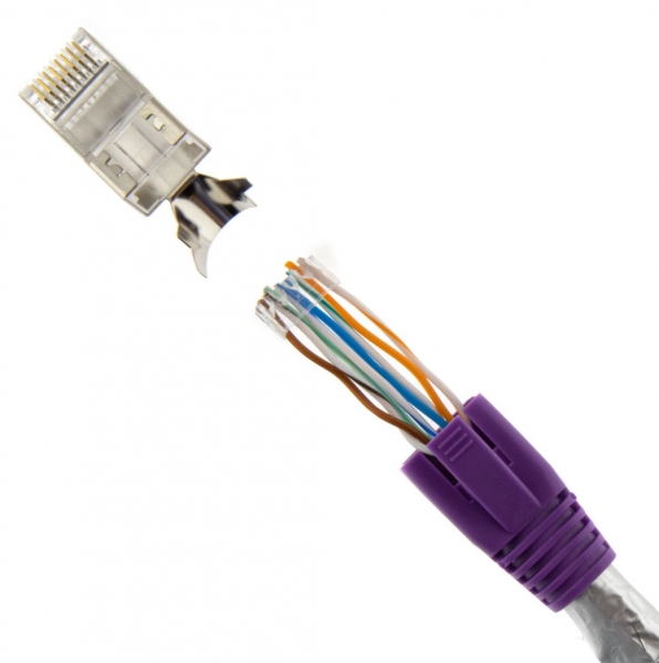 RJ45 Stecker lila